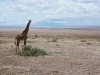 044-great-rift-valley