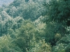 03-009