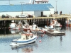 303-hofn-haven