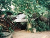 077-palenque