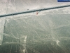 350-nazca-lines