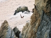 096-acapulco-springen