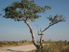 250-onderweg