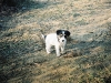jambo_02