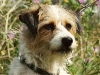 jambo_03