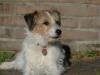 jambo_04