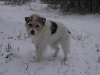 jambo_06