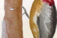 img20230305_08575125